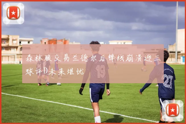 森林狼交易兰德尔后锋线崩溃迎三球评D未来堪忧