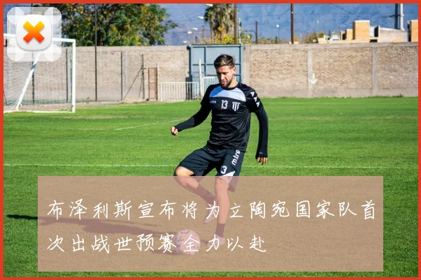 布泽利斯宣布将为立陶宛国家队首次出战世预赛全力以赴