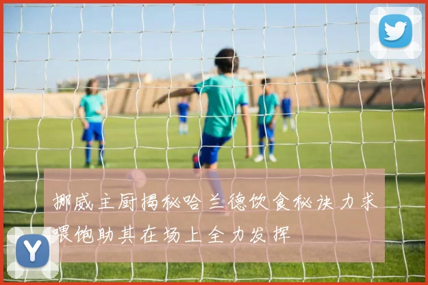 挪威主厨揭秘哈兰德饮食秘诀力求喂饱助其在场上全力发挥