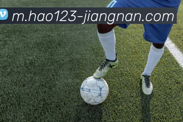 奖项图2